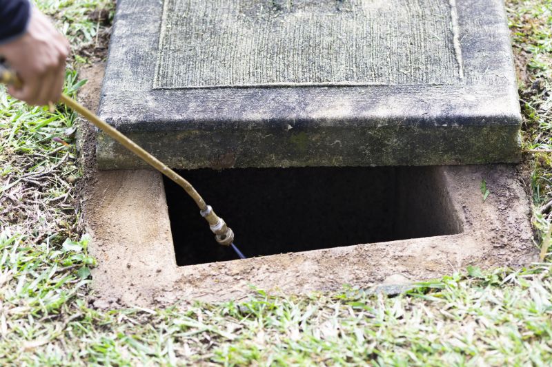 Rat Fumigation Service in San Jose, CA
