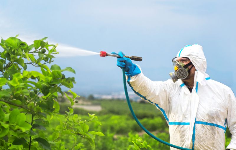 Rat Fumigation Service in Winston Salem, NC
