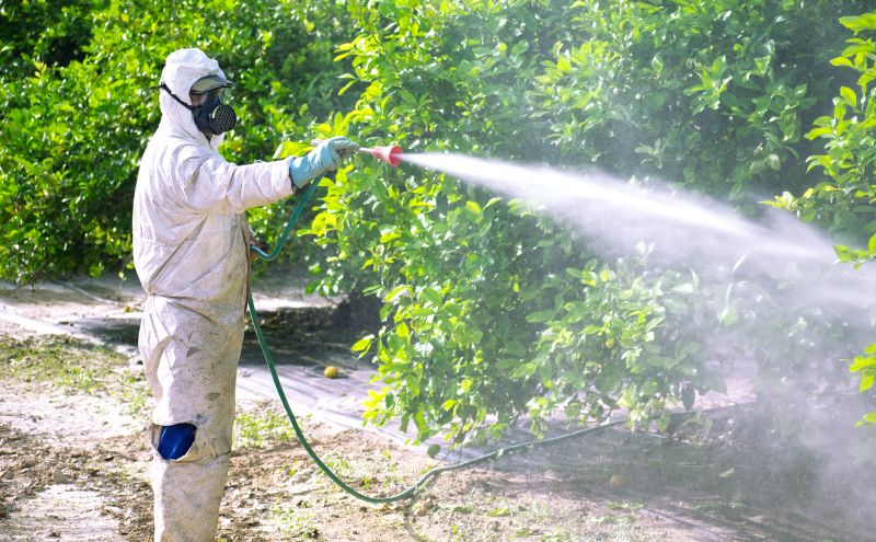 Roach Fumigation in Coeur D Alene, ID