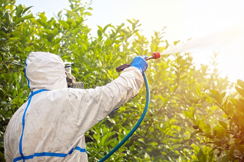 Signs Your Property Needs Professional Fumigation Services