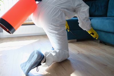 Spider Fumigation Service in Tampa, FL